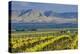 USA, Washington, Yakima. View from One of the Red Willow Vineyards-Janis Miglavs-Premier Image Canvas