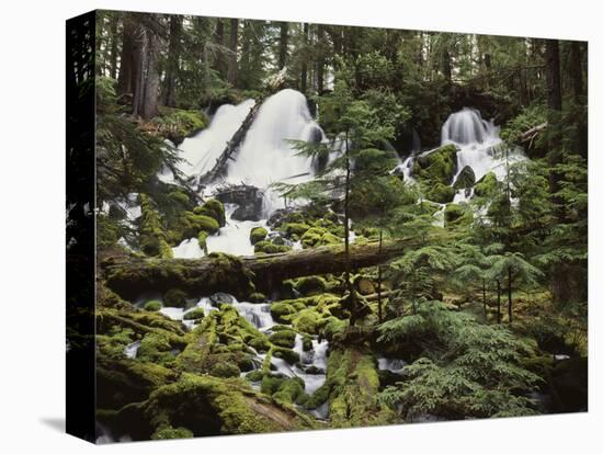 USA,  Waterfall in Pacific Northwest-Christopher Talbot Frank-Premier Image Canvas