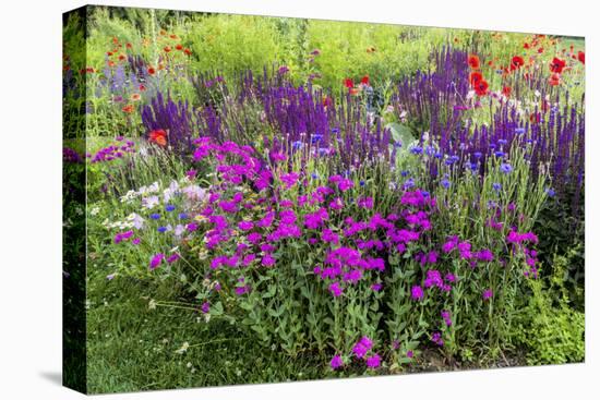 USA, Wayne, Pennsylvania. Summer Flowers in Chanticleer Garden-Jay O'brien-Premier Image Canvas