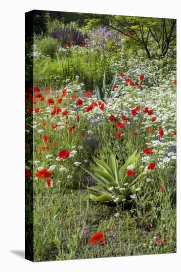 USA, Wayne, Pennsylvania. Summer Flowers in Chanticleer Garden-Jay O'brien-Premier Image Canvas