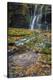 USA, West Virginia, Blackwater Falls State Park. Waterfall and whirlpool scenic.-Jaynes Gallery-Premier Image Canvas