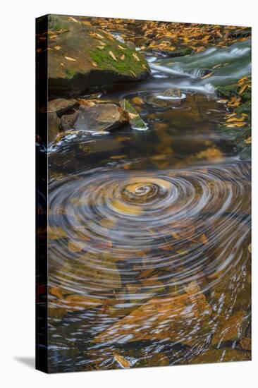 USA, West Virginia, Blackwater Falls State Park. Whirlpool in stream.-Jaynes Gallery-Premier Image Canvas