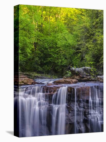 USA, West Virginia, Davis, Blackwater Falls. Scenic of the falls.-Jay O'brien-Premier Image Canvas