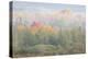 USA, West Virginia, Davis. Foggy forest in fall colors.-Jaynes Gallery-Premier Image Canvas