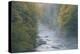 USA, West Virginia, Davis. Foggy stream in Blackwater State Park.-Jaynes Gallery-Premier Image Canvas