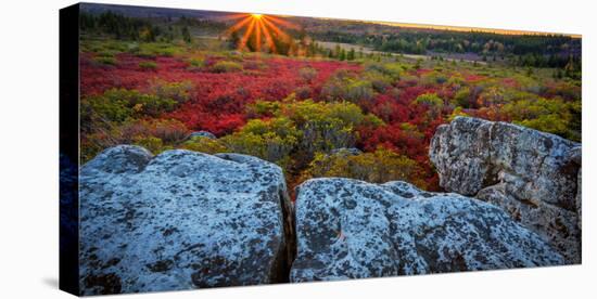 USA, West Virginia, Dolly Sods Wilderness Area. Sunset on tundra and rocks.-Jaynes Gallery-Premier Image Canvas