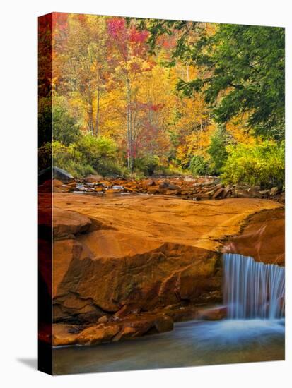 USA, West Virginia, Douglass Falls. Waterfall over Rock Outcrop-Jay O'brien-Premier Image Canvas