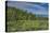 USA, Wyoming. Arrowleaf balsamroot wildflowers and Aspen Trees in meadow-Howie Garber-Premier Image Canvas