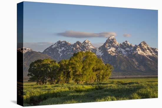 USA, Wyoming, Grand Teton National Park, Grand Tetons in the springtime.-Elizabeth Boehm-Premier Image Canvas