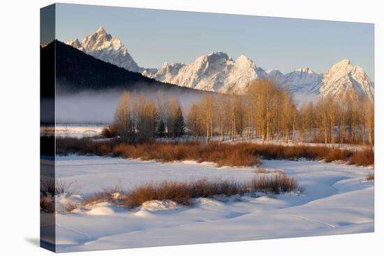 USA, Wyoming, Grand Tetons National Park. Oxbow Bend in Winter-Jaynes Gallery-Premier Image Canvas