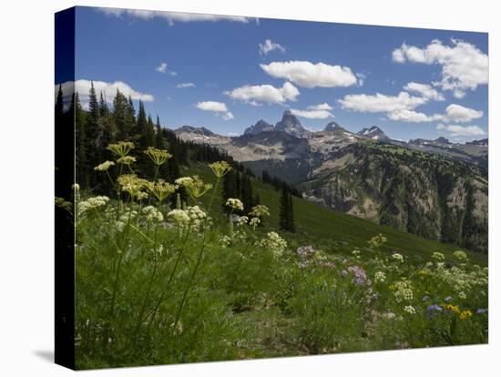 USA, Wyoming. Meadow filled with wildflowers in front of Grand Teton, Teton Mountains-Howie Garber-Premier Image Canvas