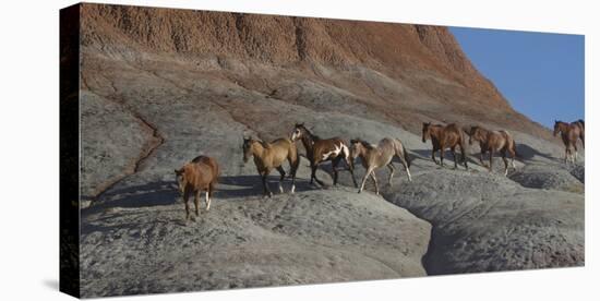 USA, Wyoming, Shell, The Hideout Ranch, Horses Walking the Hillside-Hollice Looney-Premier Image Canvas