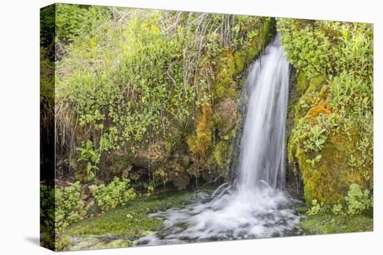 USA, Wyoming, Sublette County. Kendall Warm Springs, a small waterfall flowing over a mossy ledge.-Elizabeth Boehm-Premier Image Canvas