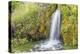 USA, Wyoming, Sublette County. Kendall Warm Springs, a small waterfall flowing over a mossy ledge.-Elizabeth Boehm-Premier Image Canvas