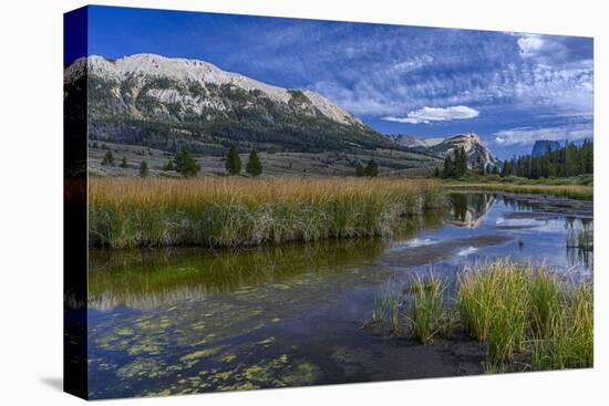 USA, Wyoming. White Rock Mountain and Squaretop Peak above Green River wetland-Howie Garber-Premier Image Canvas