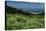 USA, Wyoming. Wildflowers and view of Teton Valley, Idaho, summer, Caribou-Targhee National Forest-Howie Garber-Premier Image Canvas