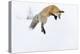 Usa, Wyoming, Yellowstone National Park. Red fox leaping to break through the snow to get a rodent.-Ellen Goff-Premier Image Canvas