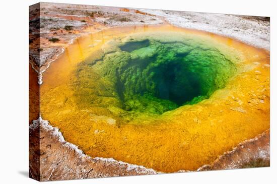 USA, Yellowstone National Park, Morning Glory Pool-Catharina Lux-Premier Image Canvas