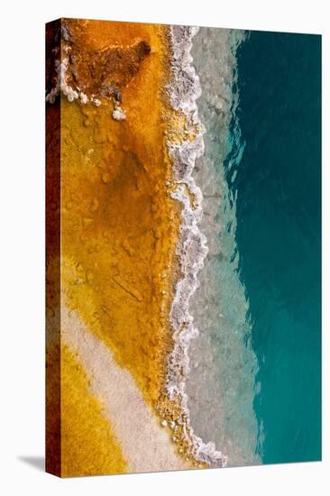 USA, Yellowstone National Park, West Thumb Geyser Basin, Black Pool-Catharina Lux-Premier Image Canvas