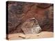 Utah, Arches National Park. an Abstract Sandstone Formation-Christopher Talbot Frank-Premier Image Canvas
