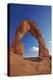 Utah, Arches National Park, Delicate Arch, 65 Ft. 20 M Tall Iconic Landmark-David Wall-Premier Image Canvas