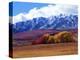 Utah. Autumn Snow on Wellsville Mts Above Maple and Cottonwood Trees-Scott T^ Smith-Premier Image Canvas