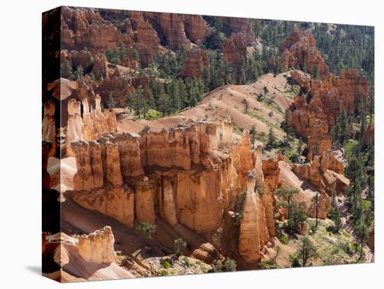 Utah, Bryce Canyon National Park, Bryce Canyon and Hoodoos-Jamie And Judy Wild-Premier Image Canvas