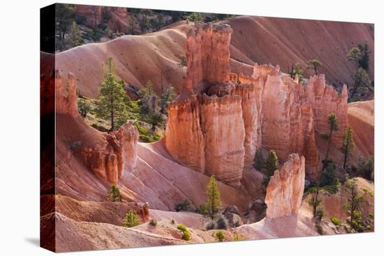 Utah, Bryce Canyon National Park, Bryce Canyon and Hoodoos-Jamie And Judy Wild-Premier Image Canvas