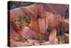 Utah, Bryce Canyon National Park, Bryce Canyon and Hoodoos-Jamie And Judy Wild-Premier Image Canvas