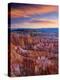 Utah, Bryce Canyon National Park, from Sunset Point, USA-Alan Copson-Premier Image Canvas