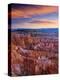 Utah, Bryce Canyon National Park, from Sunset Point, USA-Alan Copson-Premier Image Canvas