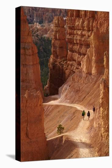 Utah, Bryce Canyon National Park, Hikers on Navajo Loop Trail Through Hoodoos-David Wall-Premier Image Canvas