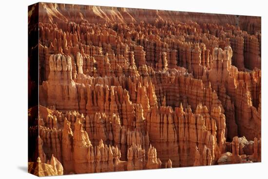 Utah, Bryce Canyon National Park, Hoodoos in Bryce Amphitheater-David Wall-Premier Image Canvas