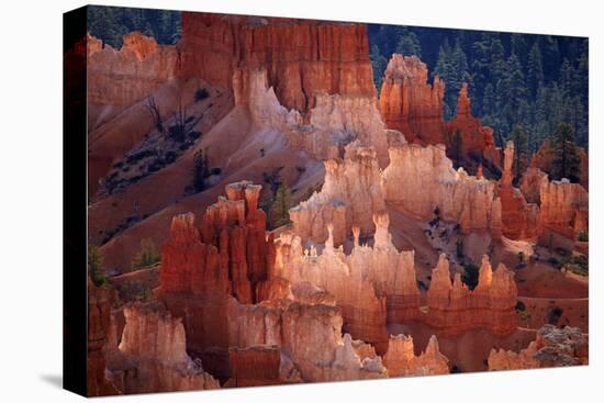 Utah, Bryce Canyon National Park, Hoodoos in Bryce Amphitheater-David Wall-Premier Image Canvas