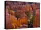 Utah, Bryce Canyon National Park, Near Sunset Point, USA-Alan Copson-Premier Image Canvas