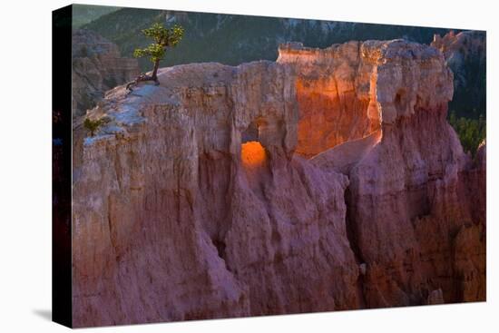 Utah, Bryce Canyon National Park-Judith Zimmerman-Premier Image Canvas