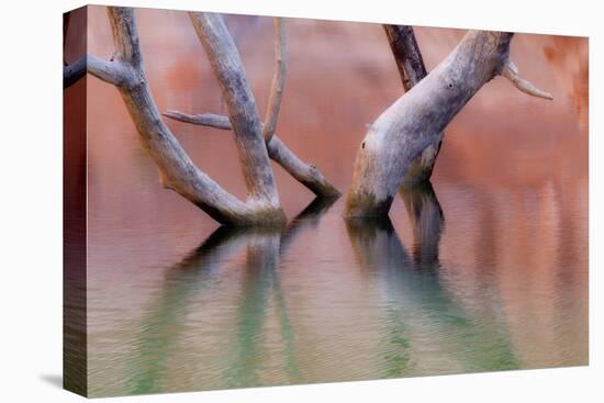 Utah, Glen Canyon Recreation Area. Dead Cottonwood Trunks in Lake-Don Paulson-Premier Image Canvas