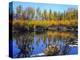 Utah. USA. Willows and Aspens in Autumn at Beaver Pond in Logan Canyon-Scott T. Smith-Premier Image Canvas