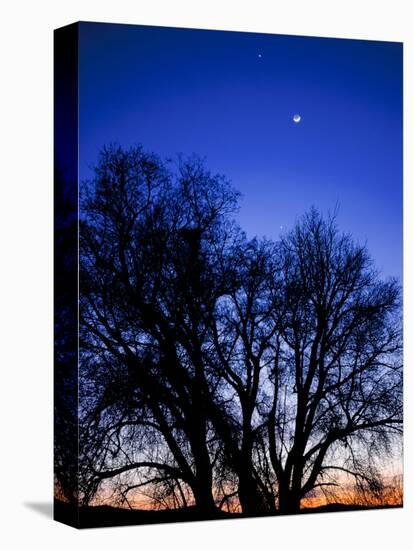 Utah. Venus, the Moon, and Jupiter in a Compact Grouping in the Sky-Scott T. Smith-Premier Image Canvas