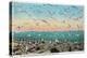 Utah, View of Sea Gulls Landing on the Great Salt Lake Shore-Lantern Press-Stretched Canvas