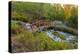 Utah, Wasatch Cache National Forest. Bridge over Stream-Jaynes Gallery-Premier Image Canvas