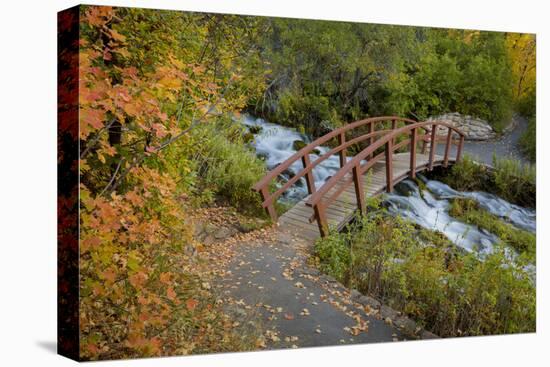 Utah, Wasatch Cache National Forest. Bridge over Stream-Jaynes Gallery-Premier Image Canvas