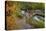 Utah, Wasatch Cache National Forest. Bridge over Stream-Jaynes Gallery-Premier Image Canvas