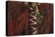 Utah, Zion National Park, Hikers on Walters Wiggles Zigzag-David Wall-Premier Image Canvas