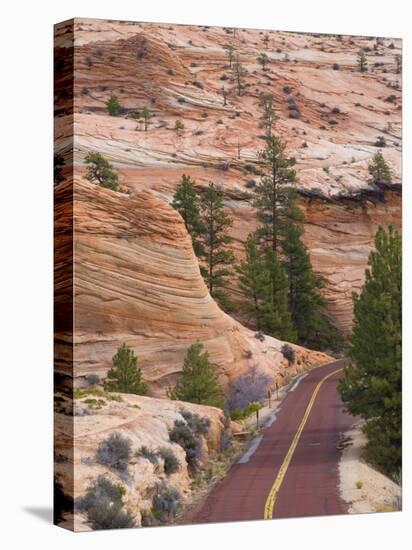 Utah, Zion National Park, USA-Alan Copson-Premier Image Canvas