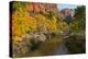 Utah, Zion National Park. Zion Canyon and Virgin River with Cottonwood Trees-Jaynes Gallery-Premier Image Canvas