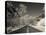 Utah, Zion National Park, Zion Canyon Scenic Drive, Winter, USA-Walter Bibikow-Premier Image Canvas