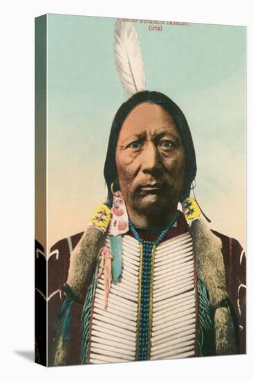 Ute Indian Chief Buckskin Charley-null-Stretched Canvas