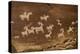 Ute Petroglyphs, Arches National Park, Utah, USA-Roddy Scheer-Premier Image Canvas