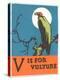 V is for Vulture-null-Stretched Canvas